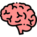 Sharpens Cognitive Function