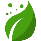 Healthy Aging